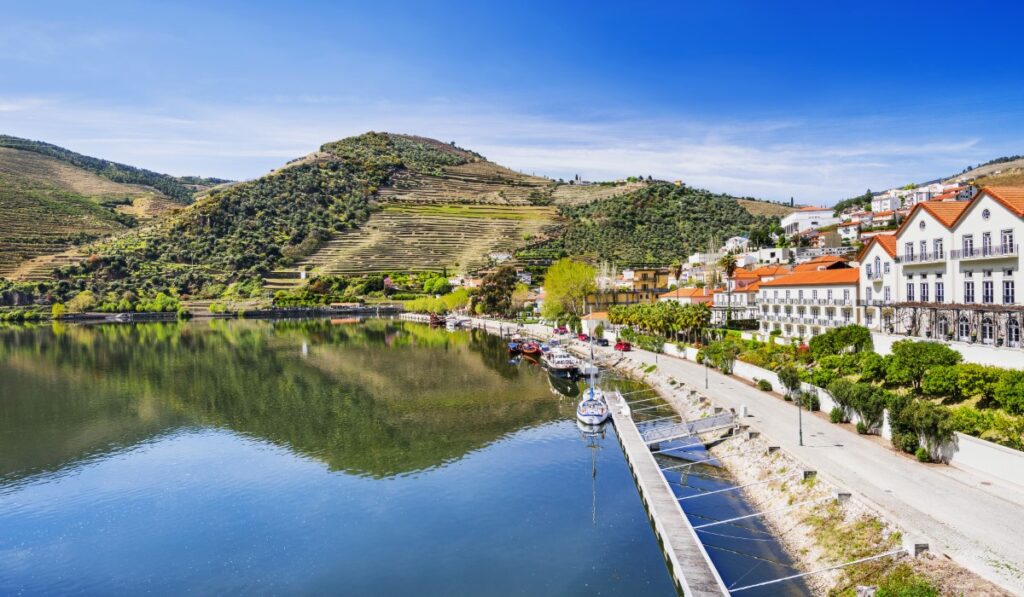 Learn the Grape, Choose the Next Stop: Eight Days in Northern Portugal