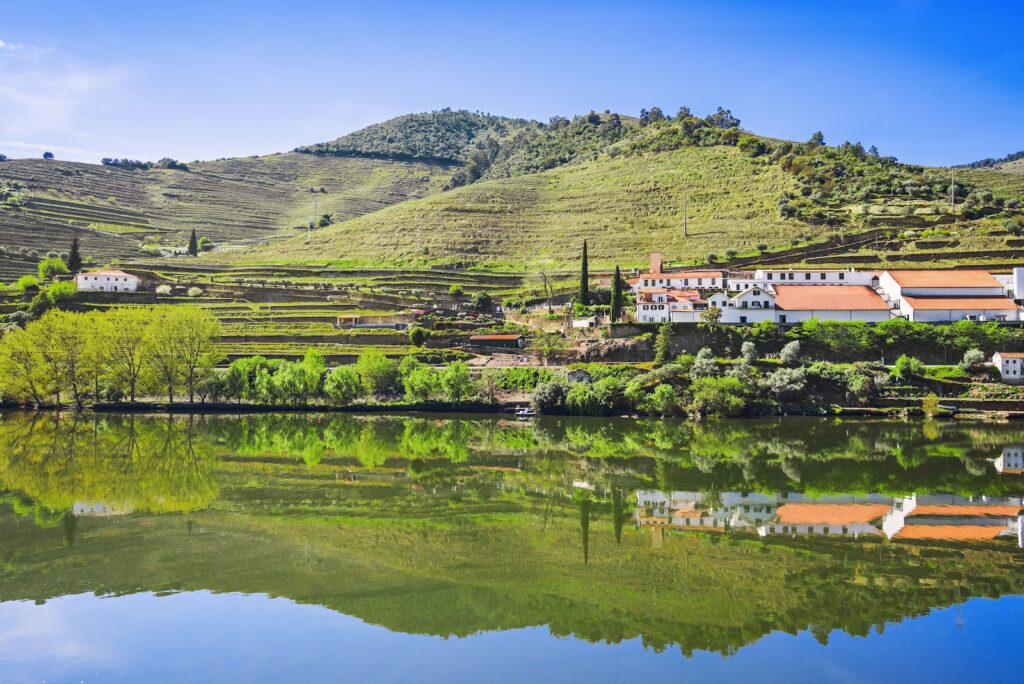 8 Portuguese Wines Americans Should Taste on a Journey from Lisbon to Minho