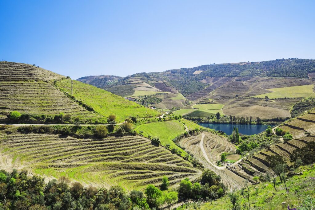 10 Days Across Portugal's Iconic Regions: Lisbon, Sintra, Evora, Porto and the Douro