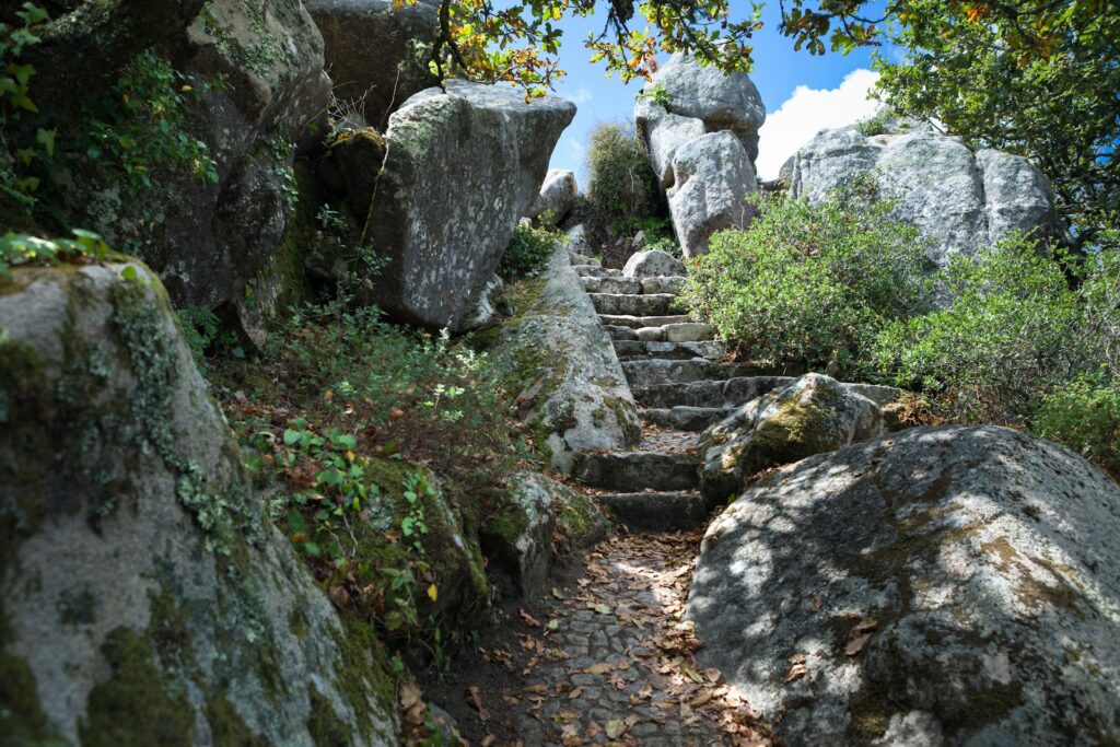 8 Lisbon Day Trips Americans Can Combine Into a Memorable Portugal Stay