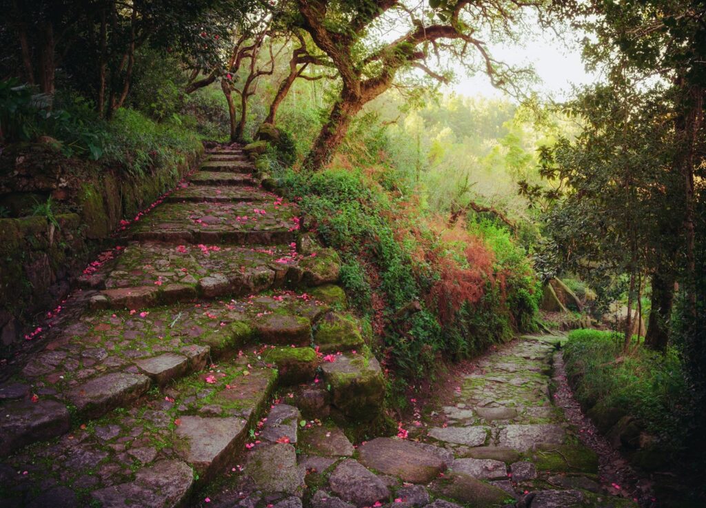Portugal in Seven Days: A First Visit of Capital Streets, Palace Hills and Northern Vineyards